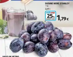 Coop Superstore Susine nere Stanley offerta