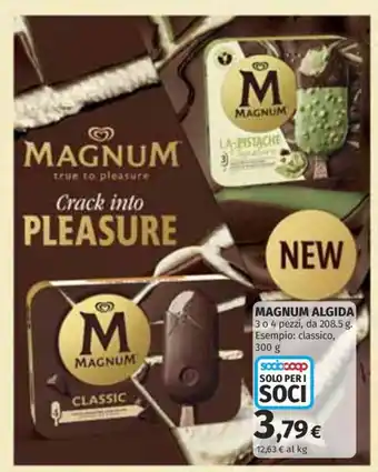 Magnum classic
