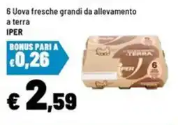 Iper La Grande Uova fresche grandi da allevamento a terra Iper offerta