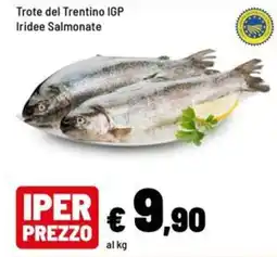 Iper La Grande Trote del Trentino IGP Iridee Salmonate offerta