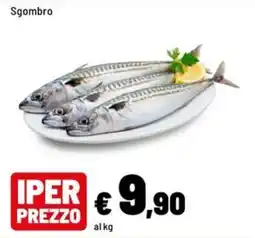 Iper La Grande Sgombro offerta