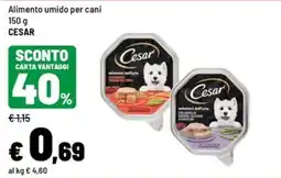 Iper La Grande Alimento umido per cani Cesar offerta