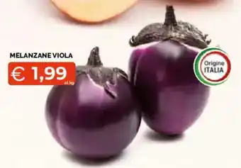 Melanzane viola