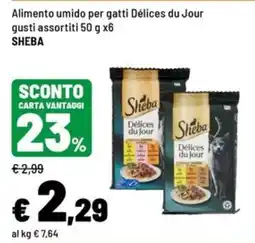 Iper La Grande Alimento umido per gatti Délices du Jour offerta