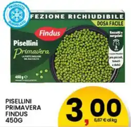 Interspar Pisellini Primavera Findus offerta