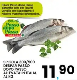 Interspar Spigola Despar Passo Dopo Passo offerta