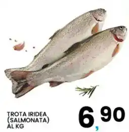 Interspar Trota iridea (salmonata) offerta