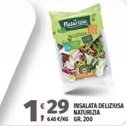Vivo Supermercati Insalata deliziosa Naturizia offerta