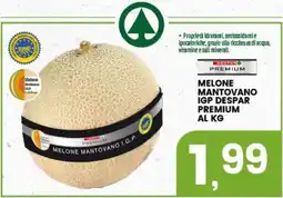 Interspar Melone Mantovano I.G.P. Despar Premium offerta