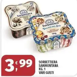 Vivo Supermercati Sorbettiera Sammontana offerta