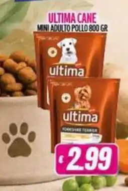 Vitulano Drugstore Ultima mini adulto pollo offerta