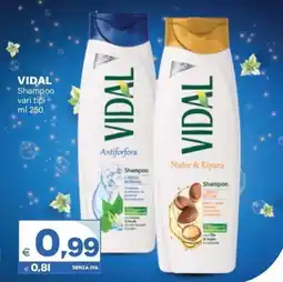 Boningros Cash and Carry Vidal Shampoo offerta
