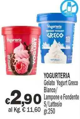 Primo Prezzo Yogurteria Gelato Yogurt Greco offerta