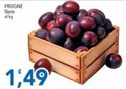 Sidis Prugne Nere offerta