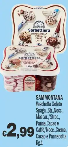 Primo Prezzo Sammontana Sorbettiera offerta