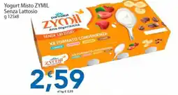 Sidis Yogurt Misto ZYMIL Senza Lattosio offerta