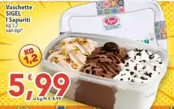 Sidis Vaschette SIGEL I Sapuriti offerta