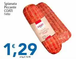 Sidis Spianata Piccante Coati offerta