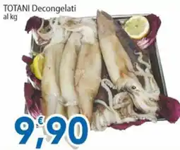 Sidis Totani decongelati offerta