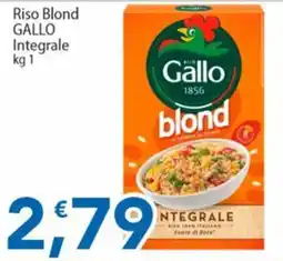 Sidis Riso Blond Gallo offerta