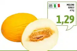 Madis Meloni gialli offerta