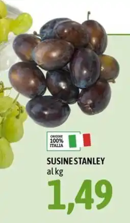 Madis Susine Stanley offerta