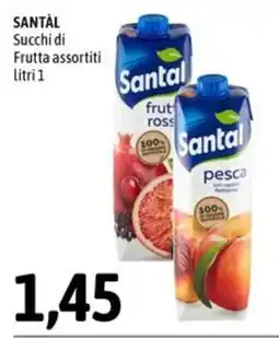 Madis Succhi di Frutta assortiti Santal offerta