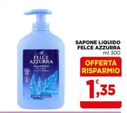 Gran mercato Sapone liquido Felce Azzurra classico offerta