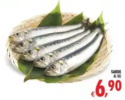 Deco Maxistore Sarde offerta