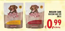 Deco Maxistore Miglior cane I Preferiti offerta