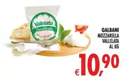 Deco Maxistore Galbani Mozzarella Vallelata offerta