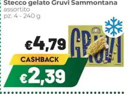 Coop famiglia cooperativa Stecco gelato Gruvi Sammontana offerta