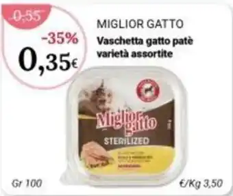 Miglior gatto vaschetta gatto patè