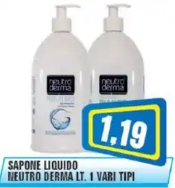 Punto Vigas Sapone liquido Neutro Derma offerta