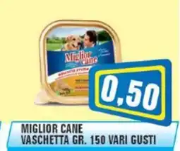 Punto Vigas Miglior Cane vaschetta offerta