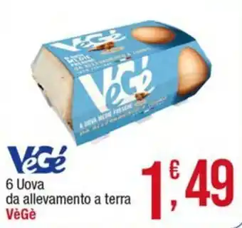 Uova da allevamento a terra VèGè