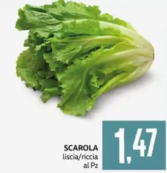 Scarola liscia/riccia