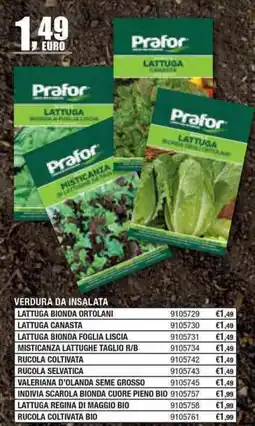 Bricofer Verdura da insalata lattuga bionda ortolani offerta