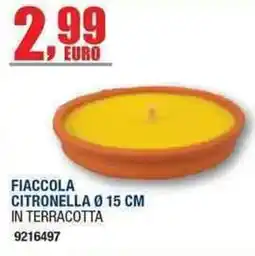 Bricofer Fiaccola citronella offerta