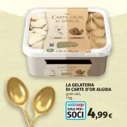 Coop LA GELATERIA DI CARTE D’OR ALGIDA offerta