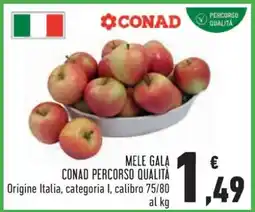 Conad Mele Gala offerta