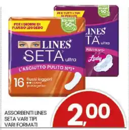 Eurospar ASSORBENTI LINES SETA offerta