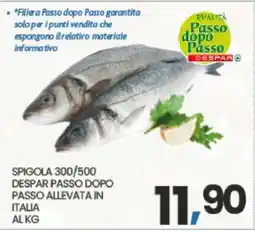 Eurospar SPIGOLA 300/500 offerta