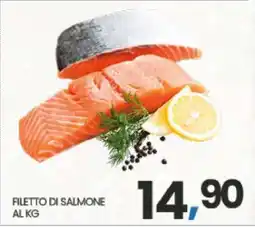Eurospar Filetto di Salmone offerta
