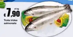 Sì con te Trota iridea salmonata offerta
