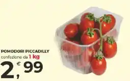 Alter Discount Pomodori Piccadilly offerta