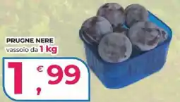 Alter Discount Prugne nere offerta