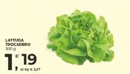 Alter Discount Lattuga Trocadero offerta