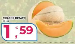 Alter Discount Melone retato offerta