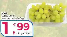 Alter Discount Uva senza semi offerta